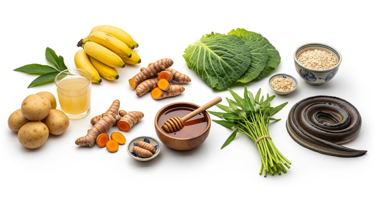 8 Thực Phẩm Việt Nam Chữa Lành Dạ Dày Tự Nhiên