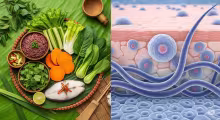 Glycation và Da Lão Hóa: Kiểm Soát Đường Huyết Cho Da Trẻ Mãi