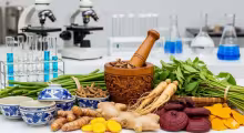 Thảo Dược Tăng Miễn Dịch - Y Học Cổ Truyền Gặp Khoa Học